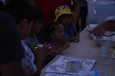 DSC_1995 (Large).JPG